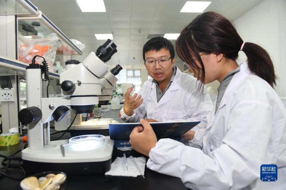 娱乐平台登录入口